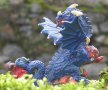 dragon-bleu-a.jpg, JPG, 600x500, 76 KB